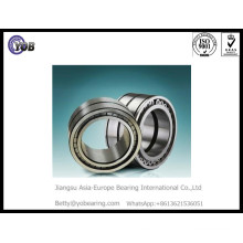 Full Complement Cylindrical Roller Bearing SL045060PP